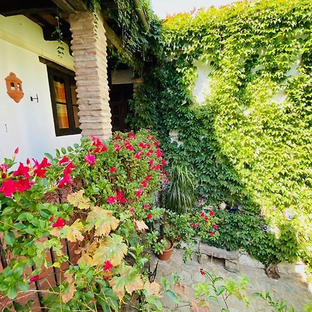 Posada La Casa Grande Хімена-де-ла-Фронтера Екстер'єр фото